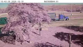 I-80 Eastbound Parking Area – Mile Marker 44 – Near Walnut