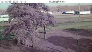 I-80 Eastbound Parking Area – Mile Marker 44 – Near Walnut