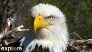 Decorah Eagles – Camera 1